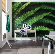 V7-750 Fern